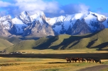 Kyrgyzstan Moutains and Horses